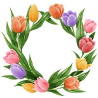 desenhado à mão ilustração aguarela colorida tulipas quadros coroas arranjo Primavera floral clipart cumprimento cartão nupcial chuveiro Casamento convite botânico pintura png