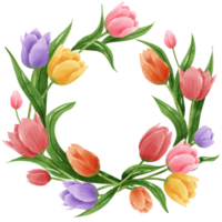 handgemalt Illustration Aquarell bunt Tulpen Frames Kränze Anordnung Frühling Blumen- Clip Art Gruß Karte Braut- Dusche Hochzeit Einladung botanisch Gemälde png