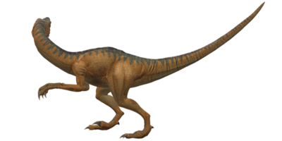 Velociraptor Dinosaur isolated on a Transparent Background png