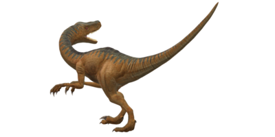 velociraptor dinosaure isolé sur une transparent Contexte png