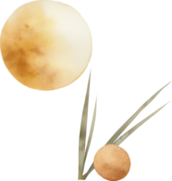 Tsukimi dango accompanied by a single reed grass stalk png