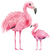 fofa flamingo mama animal mãe dia png