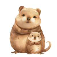 mignonne mère et bébé quokkas png