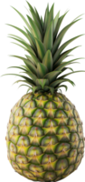 gesund frisch Ananas Obst isoliert auf ein transparent Hintergrund png