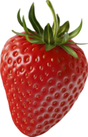 Fresh Strawberry isolated on a transparent background png