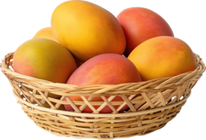 a group of mango in basket isolated on a transparent background png