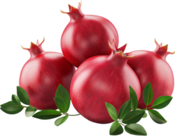 Red Ripe Pomegranates with leaves isolated png