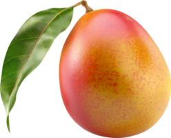 Ripe mango with leaf isolated on a transparent background png