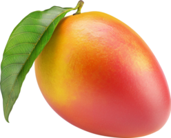 Ripe mango with leaf isolated on a transparent background png