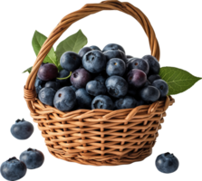 Fresh and healthy blueberries in a wicker basket isolated png