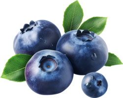 Fresh ripe blueberries with leaves isolated png