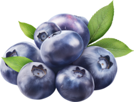 Fresh ripe blueberries with leaves isolated png