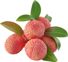 Fresh and ripe lychees with leaves isolated png