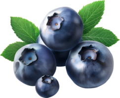 Fresh ripe blueberries with leaves isolated png