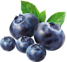 Fresh ripe blueberries with leaves isolated png