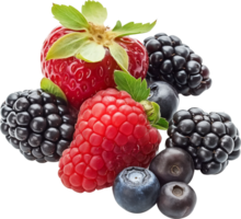 Health Berry fruits isolated on a transparent background png