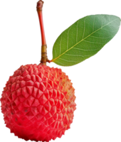 Crimson lychee with a leaf isolated on a transparent background png