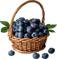 Fresh and healthy blueberries in a wicker basket isolated png