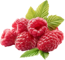 saftig reif Himbeeren isoliert auf ein transparent Hintergrund png