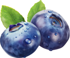 Fresh ripe blueberries with leaves isolated png