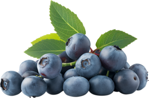 a group of sweet blueberries isolated on a transparent background png