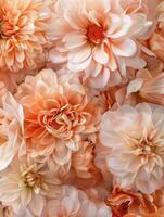 peach color flower bouquet arrangement, ai photo