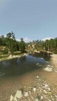 un aérien vue de une rivière entouré par des arbres video