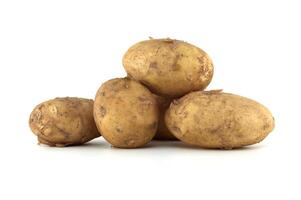 Recent harvest early season potatoes isolated on white photo