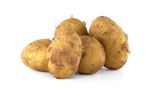 Fresh early potatoes isolated on white background photo