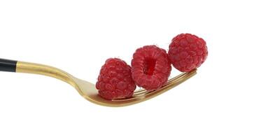 Fresh raspberries on gold fork isolated on white background photo