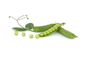 Group of green pea pods and peas isolated on white photo
