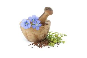 Flax blossom and heap of linseed isolated on white photo