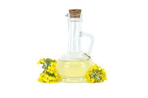 Glass jug filled with canola oil near rape blossoms on white photo