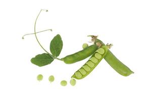 Open pea pods and green leaf isolated over white photo