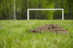 Football pitch with large mole hole in foreground photo