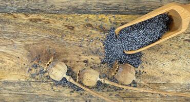 Black poppy seeds and dried heads of poppies strewn photo