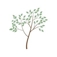 Tree with green foliage. Landscape design, nature, forest of garden symbol. vector