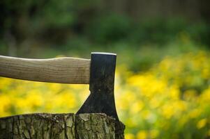 Axe stuck in tree stump in background of forest photo