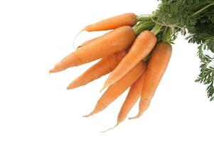 Bundle of fresh, orange carrots with green tops isolated on white photo