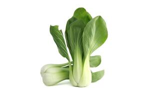 Brassica rapa chinensis, called bok choy isolated on white photo