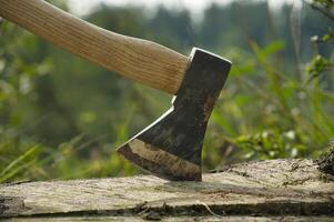 Axe stuck in tree stump in background of felled forest photo