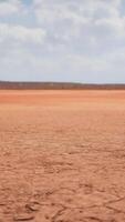 tierra seca agrietada sin agua video