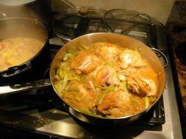 Coriander chicken curry photo