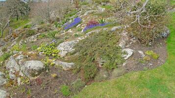 Rock garden on hillside photo