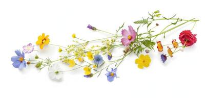 flores silvestres decoración floral flatlay en blanco antecedentes foto