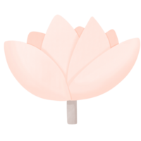 un rosado loto flor en un transparente antecedentes png