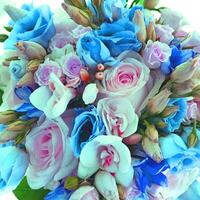 nice flower bouquet. Bouquet of flowers, copy space. Blank space for greetings. photo