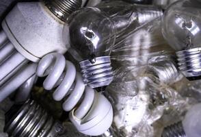 Old light bulbs in the trash photo