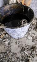 Old dirty oil container photo