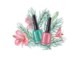 Pastel pink and green nail polish among flowers and spruce branches. Glass bottle with black cap. Composition in trendy colors for beauty, manicure. Watercolor illustration for greeting, label. vector